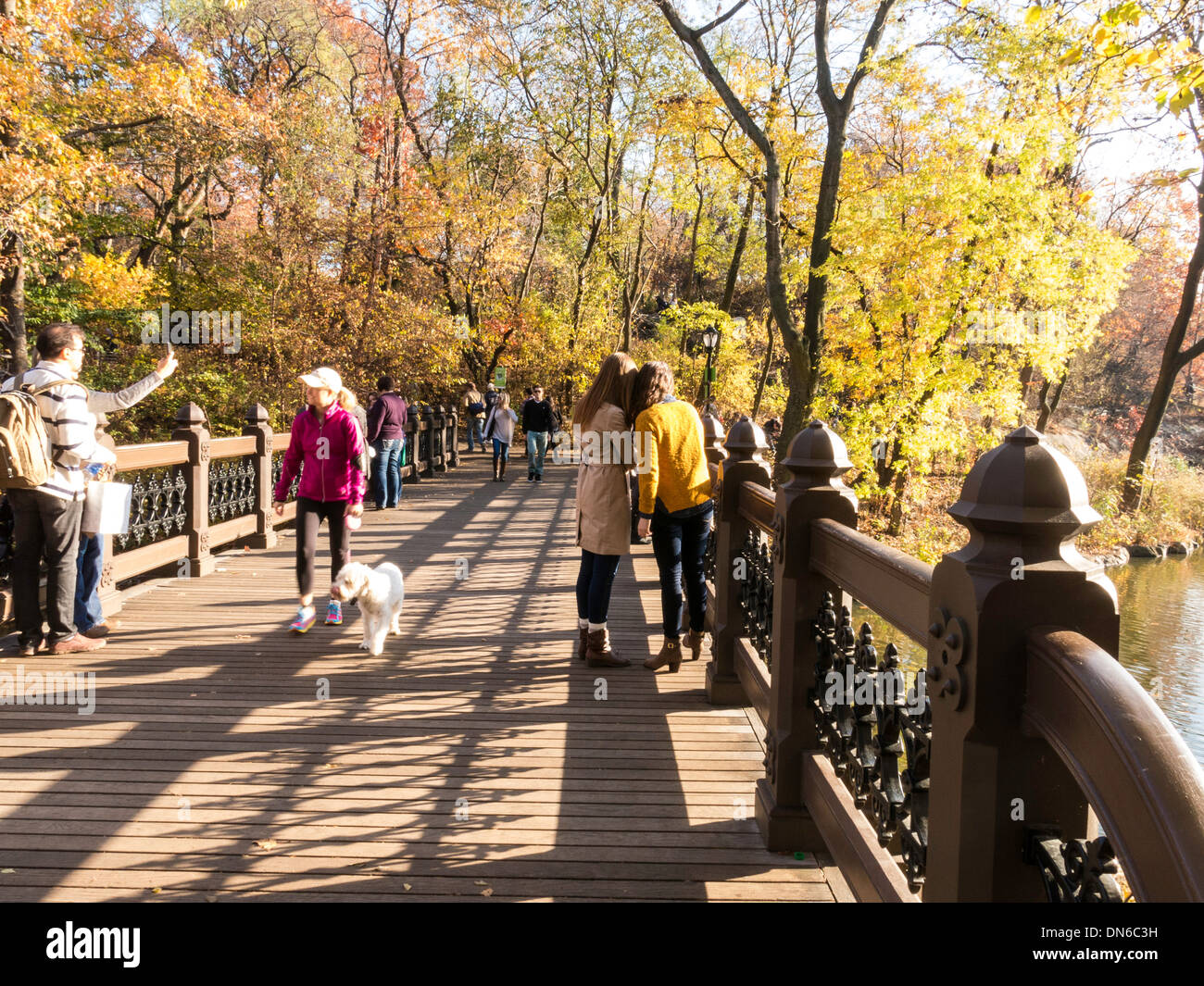 Oak Bridge at Bank Rock Bay, The Lake, Central Park, NYC Stock Photo