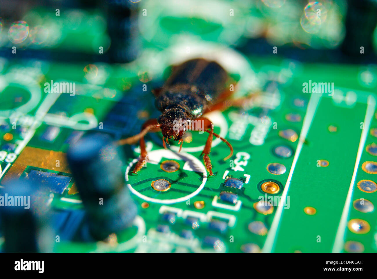 Cockroach Computer Virus Laptop computer bug infection virus hi-res stock photography and images ...