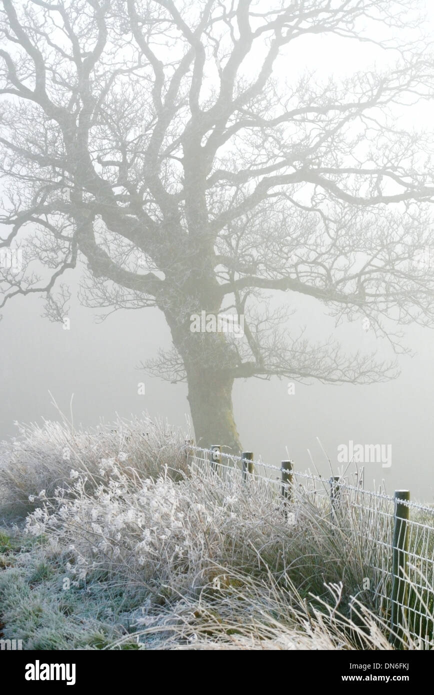 With ice and fog hi-res stock photography and images - Alamy
