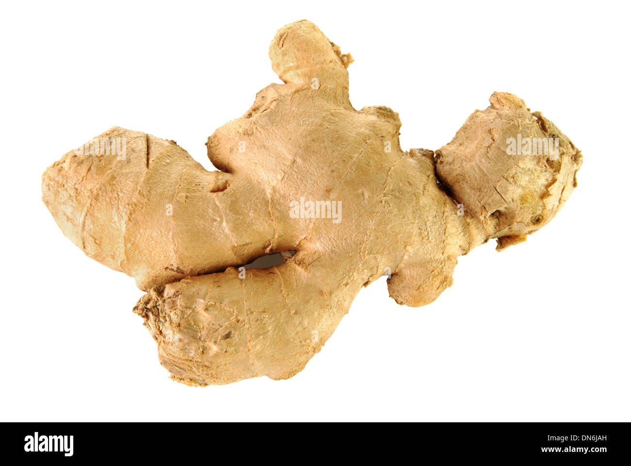 Raw ginger root on a white background Stock Photo