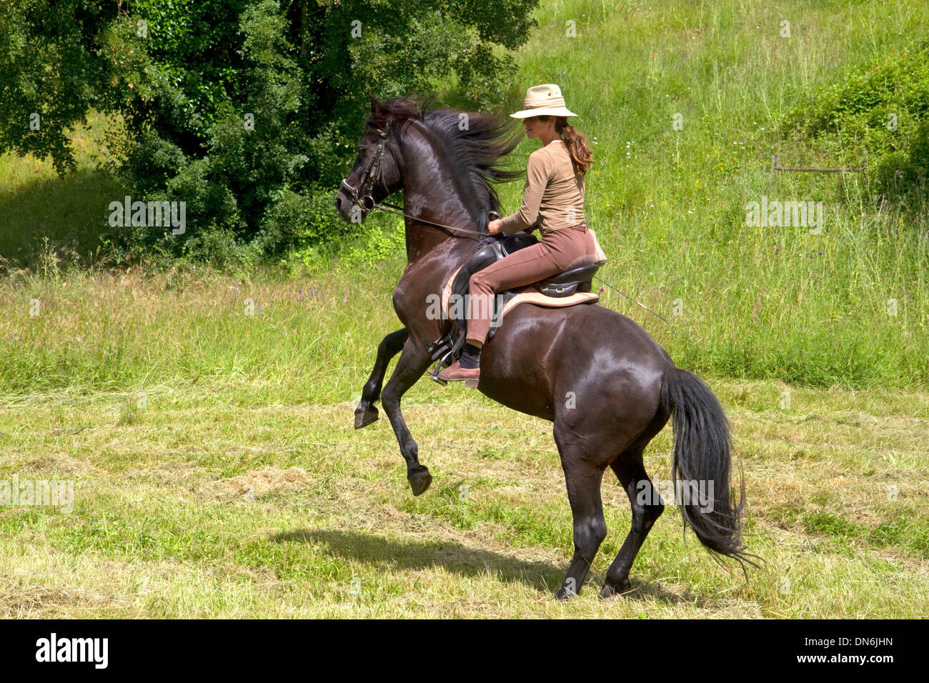 French woman riding her horse on a farm near Angouleme in southwestern France Stock Photo Alamy