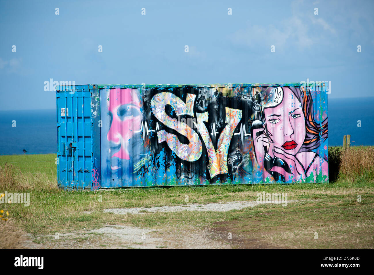 Brightly painted shipping container graffiti Stock Photo Alamy