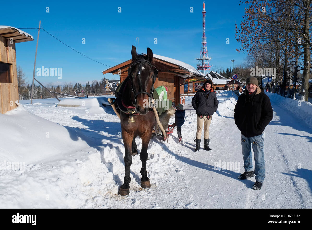 A horse and sleigh with its handlers on the Gubałówka mountain above Zakopane, Poland. Stock Photo
