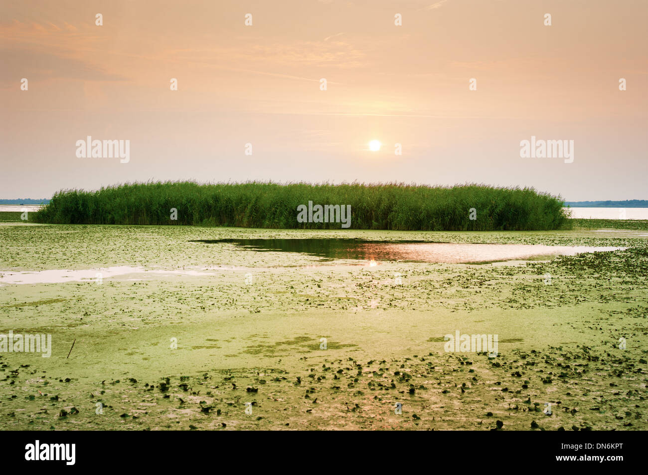 Sunrise at Lake Tisza, Hungary. Stock Photo