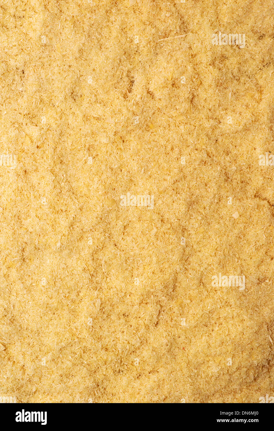 Sawdust texture of close up Stock Photo