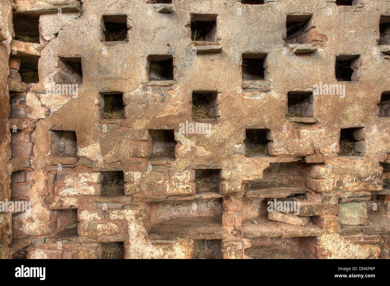 Nest holes in a Worcestershire dovecote, England. Stock Photo