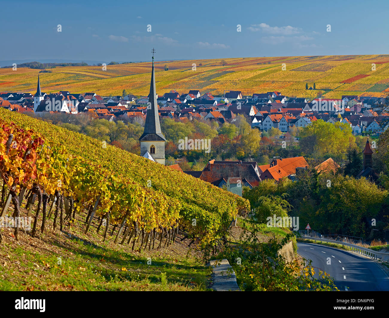 Escherndorf and Nordheim with vineyards at river Main, Lower Franconia, Bavaria, Germany Stock Photo