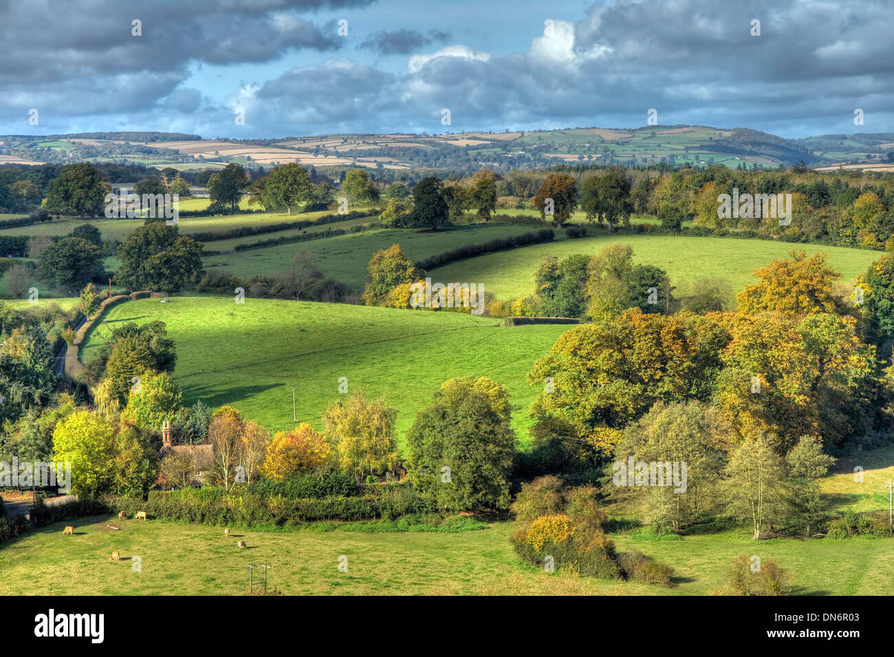 Shropshire countryside near Ludlow, England. Stock Photo