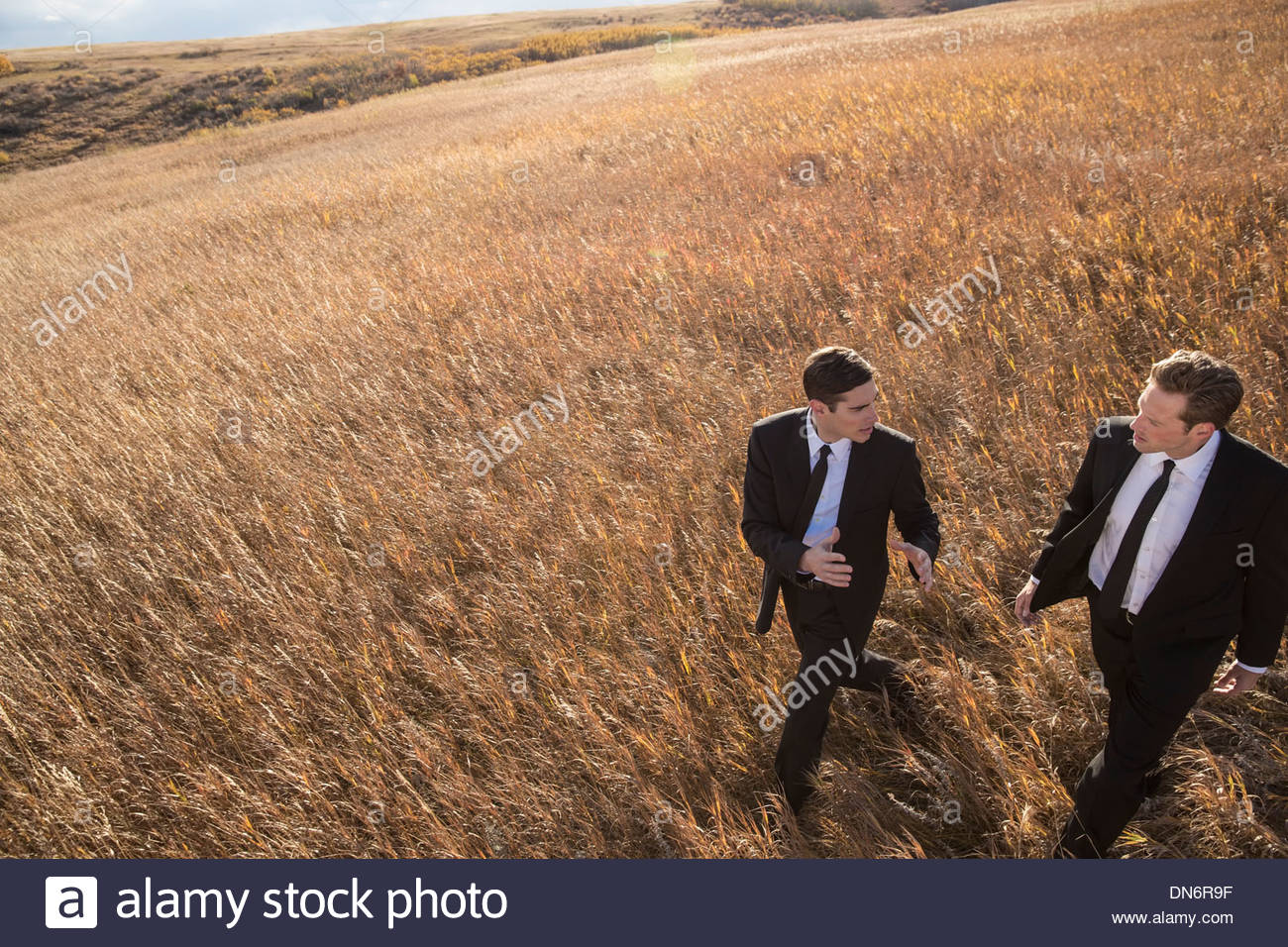 Businessmen conversing in field Stock Photo