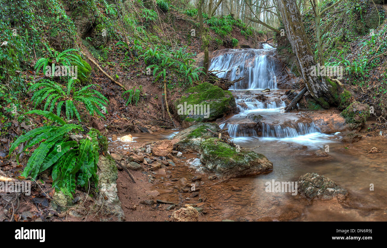 Waterfall and ferns at Death's Dingle, Eastham, Worcestershire, England Stock Photo Alamy