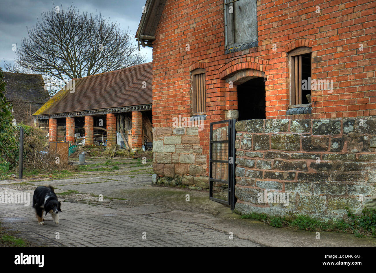 Old farmyard with sheep dog, Inkberrow, Worcestershire, England. Stock Photo