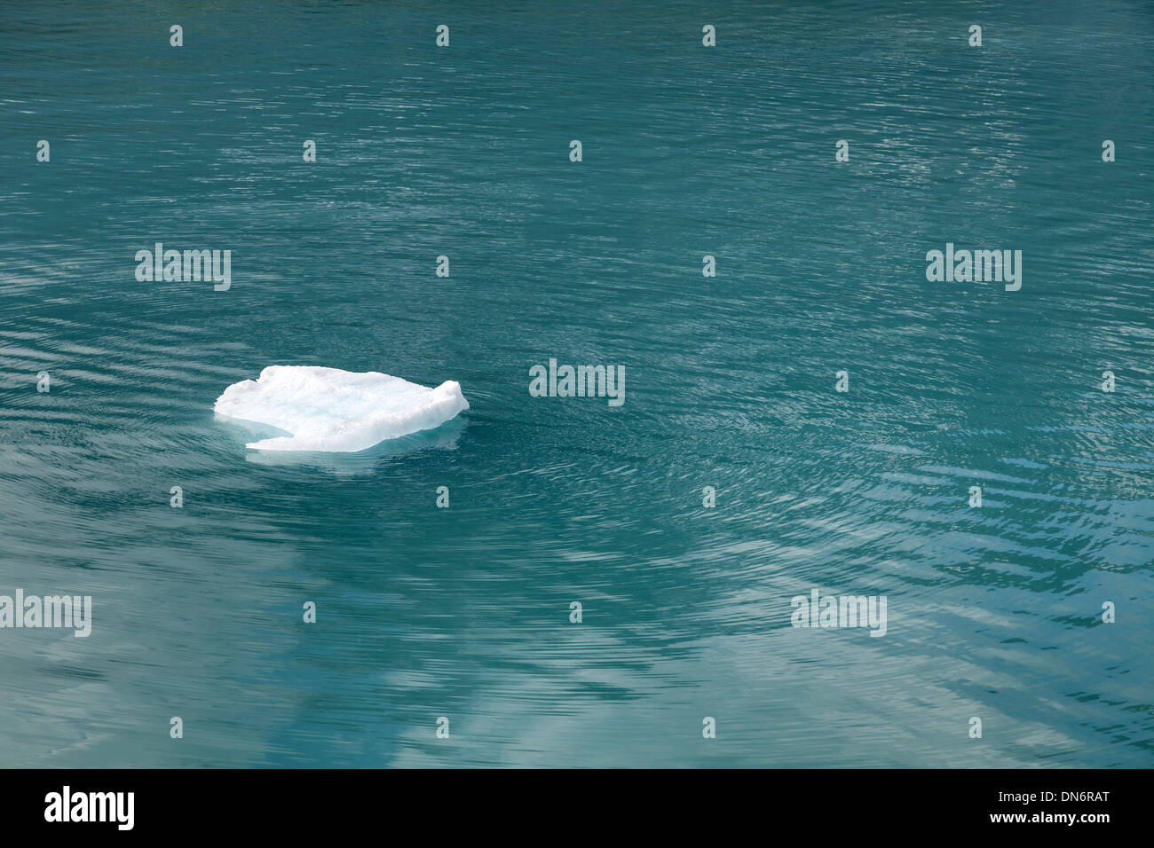 sea ice float on the water Stock Photo Alamy