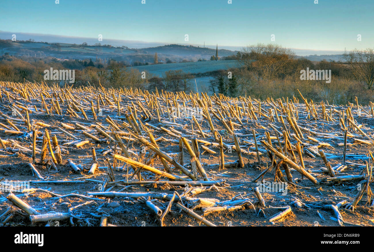 Farmland on a cold winters evening, Drayton near Belbroughton, Worcestershire, England. Stock Photo