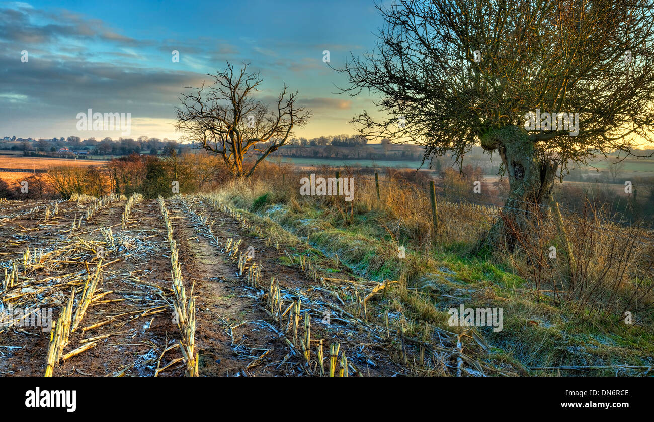 Farmland on a cold winters evening, Drayton near Belbroughton, Worcestershire, England. Stock Photo