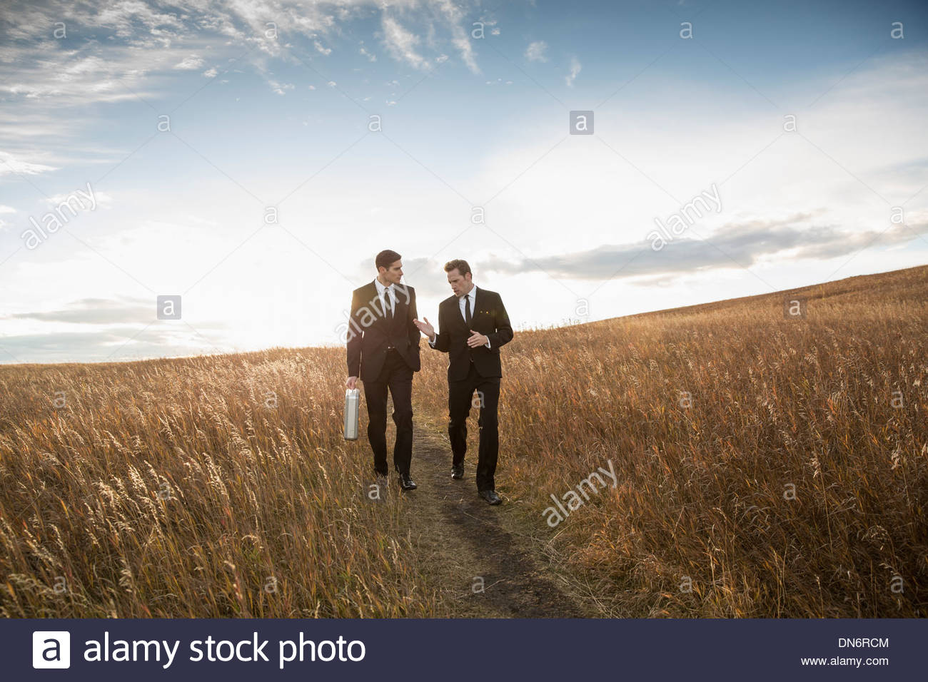 Businessmen conversing in field Stock Photo