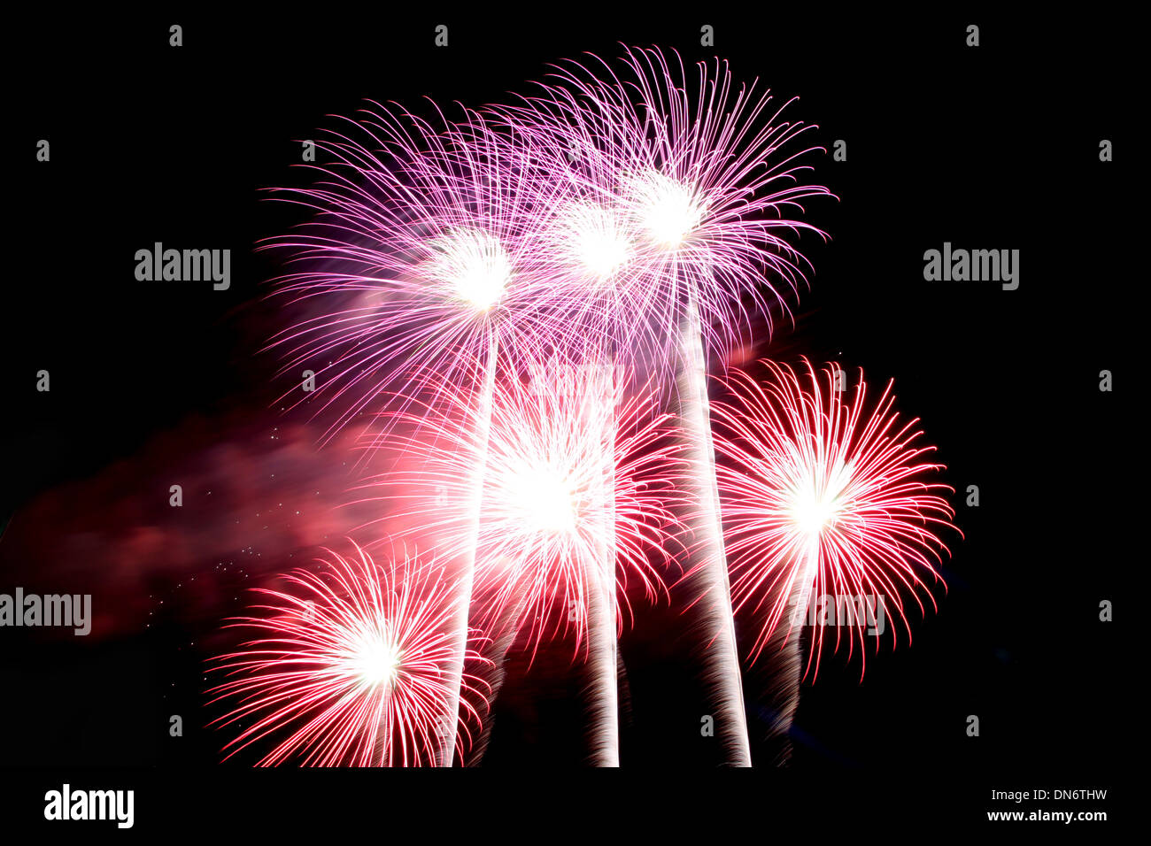 Purple and Red Fireworks Variety of Colorful in the darkness. Stock Photo
