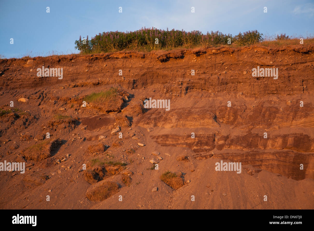 Land erosion in Iceland. Stock Photo