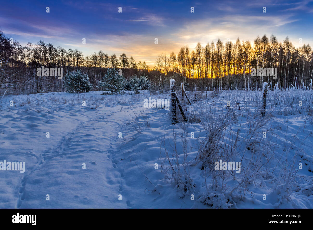 Beautiful winter landscape forest lake hi-res stock photography and ...