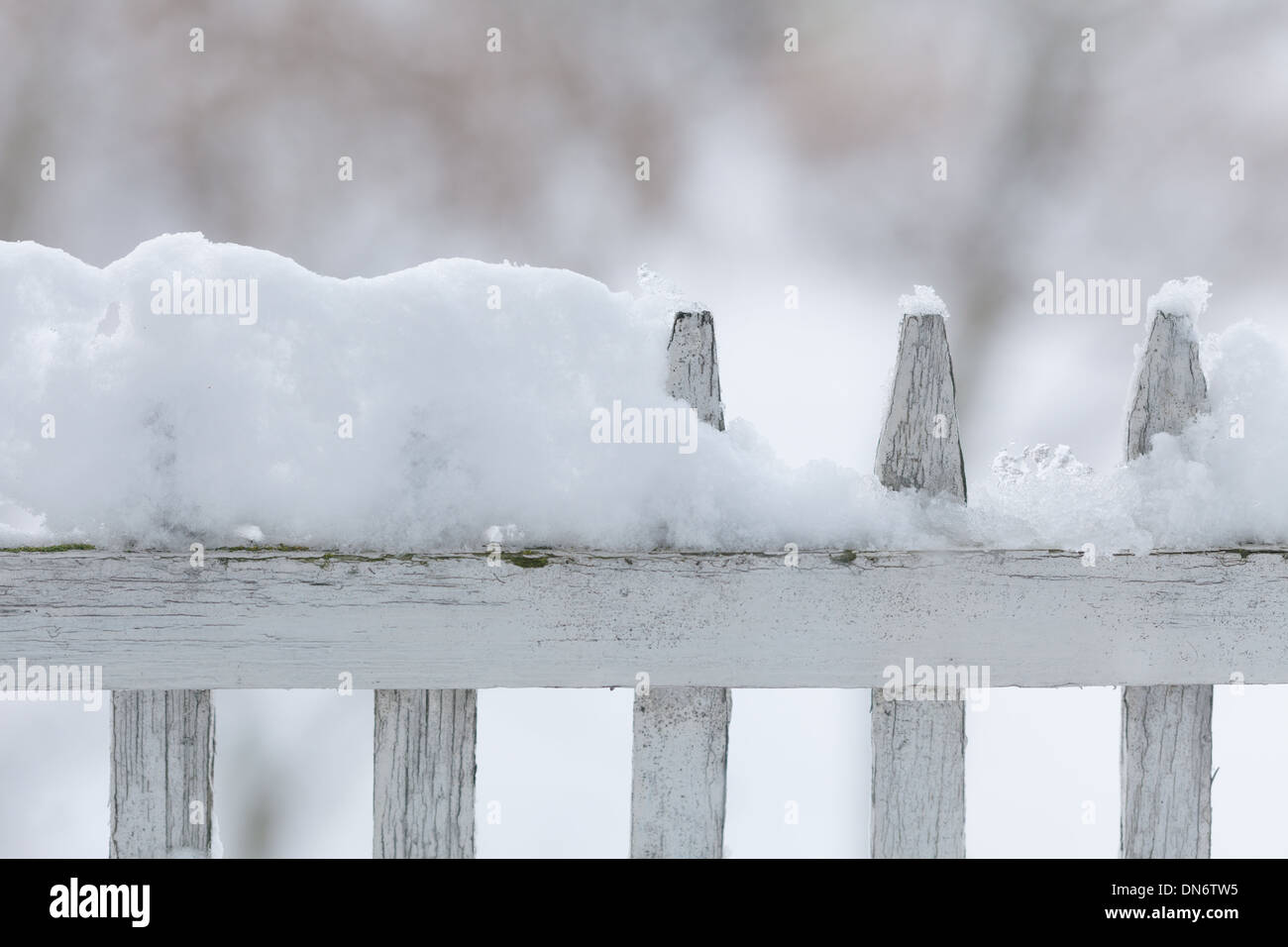 Old white wooden wood fence covered with fresh snow on winter season ...