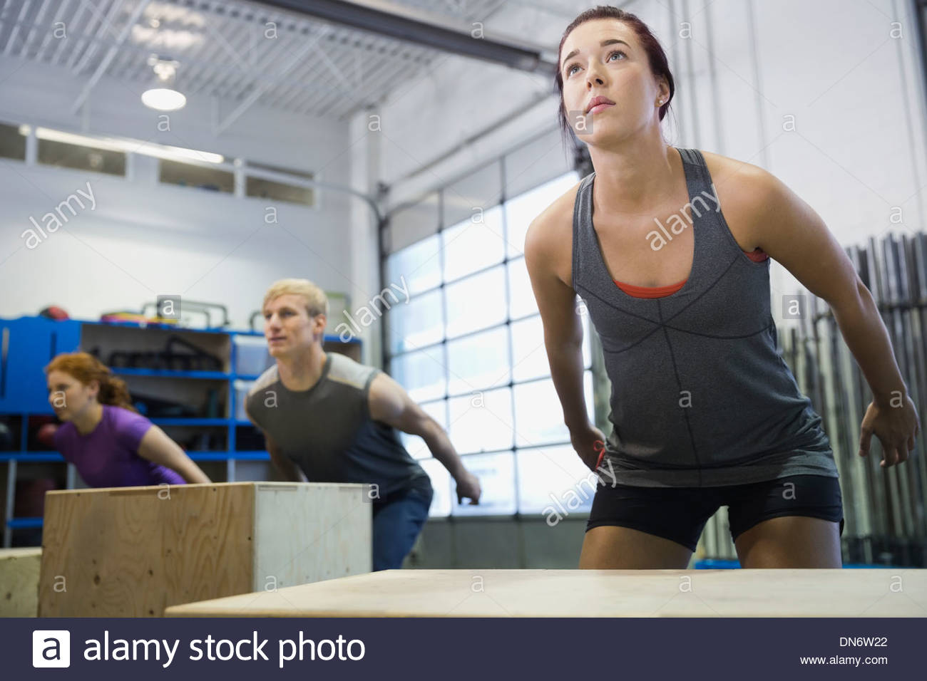 Woman doing box jumps in gym Stock Photo Alamy