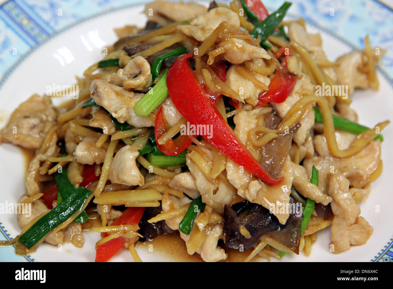 The Picture Ginger Chicken Stir Fry in dish. Stock Photo