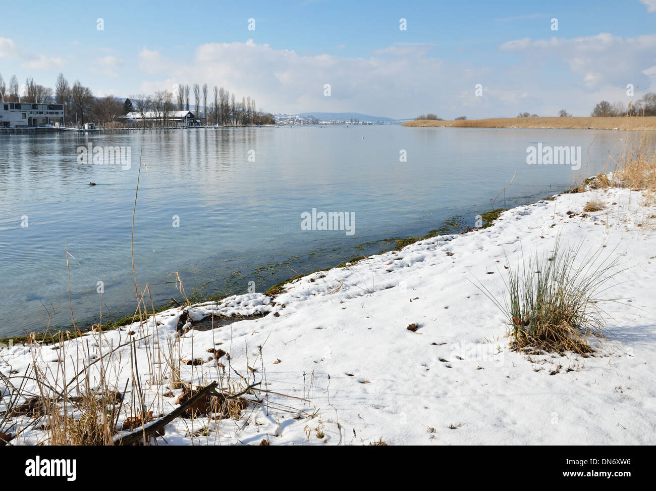 Non-freezing lake in soft winter Stock Photo