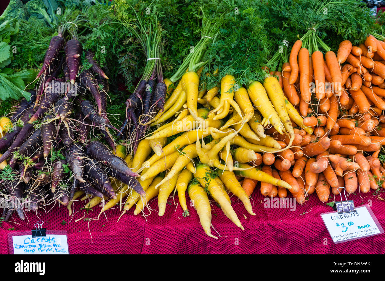 Display of yellow purple orange carrots at a farmers market.  Beaverton, Oregon Stock Photo