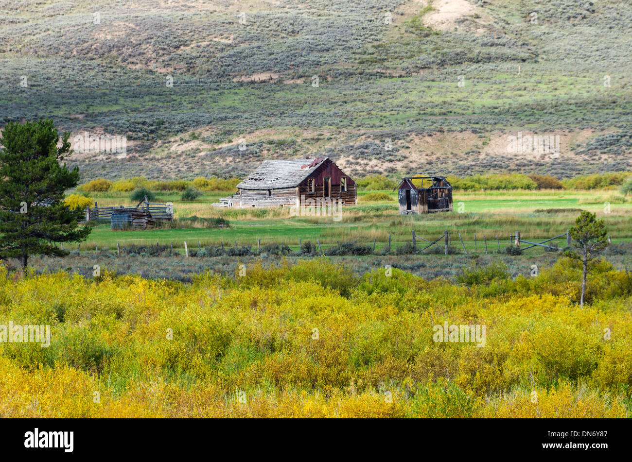 Abandoned barn and corral in a high country pasture.  Wyoming, United States Stock Photo