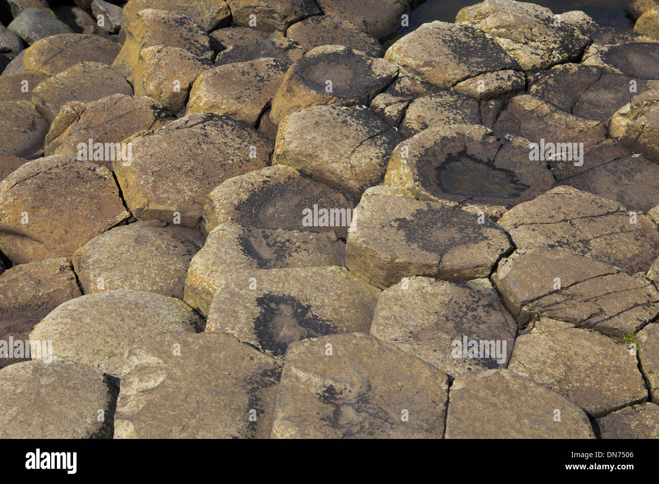 Polygonal basalt lava rock columns of the Giant's Causeway on the north