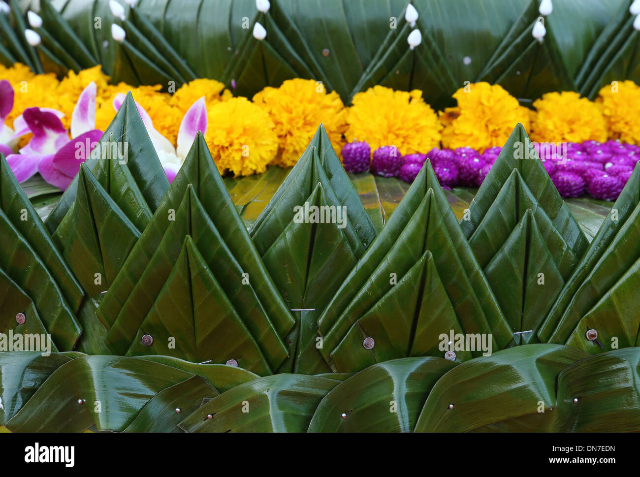 Thai flower hi-res stock photography and images - Alamy