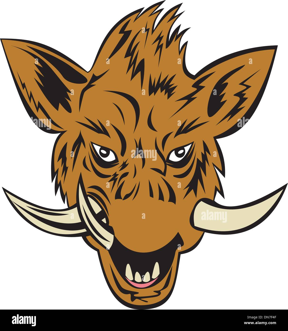 Wild Pig Boar Head Stock Vector Image & Art - Alamy