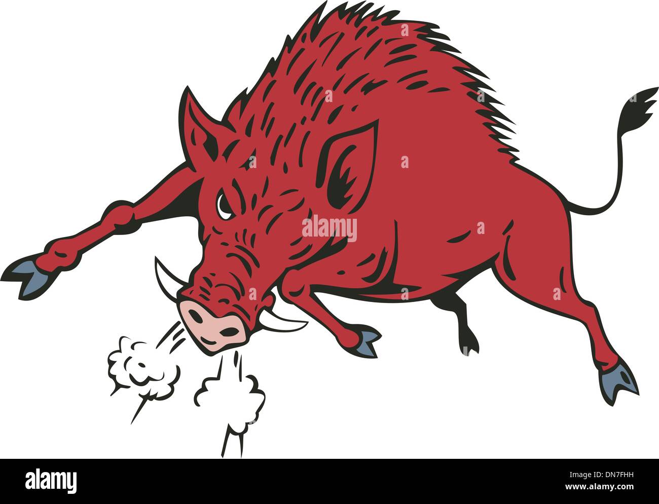 Wild Hog Jumping Stock Vector Image & Art - Alamy