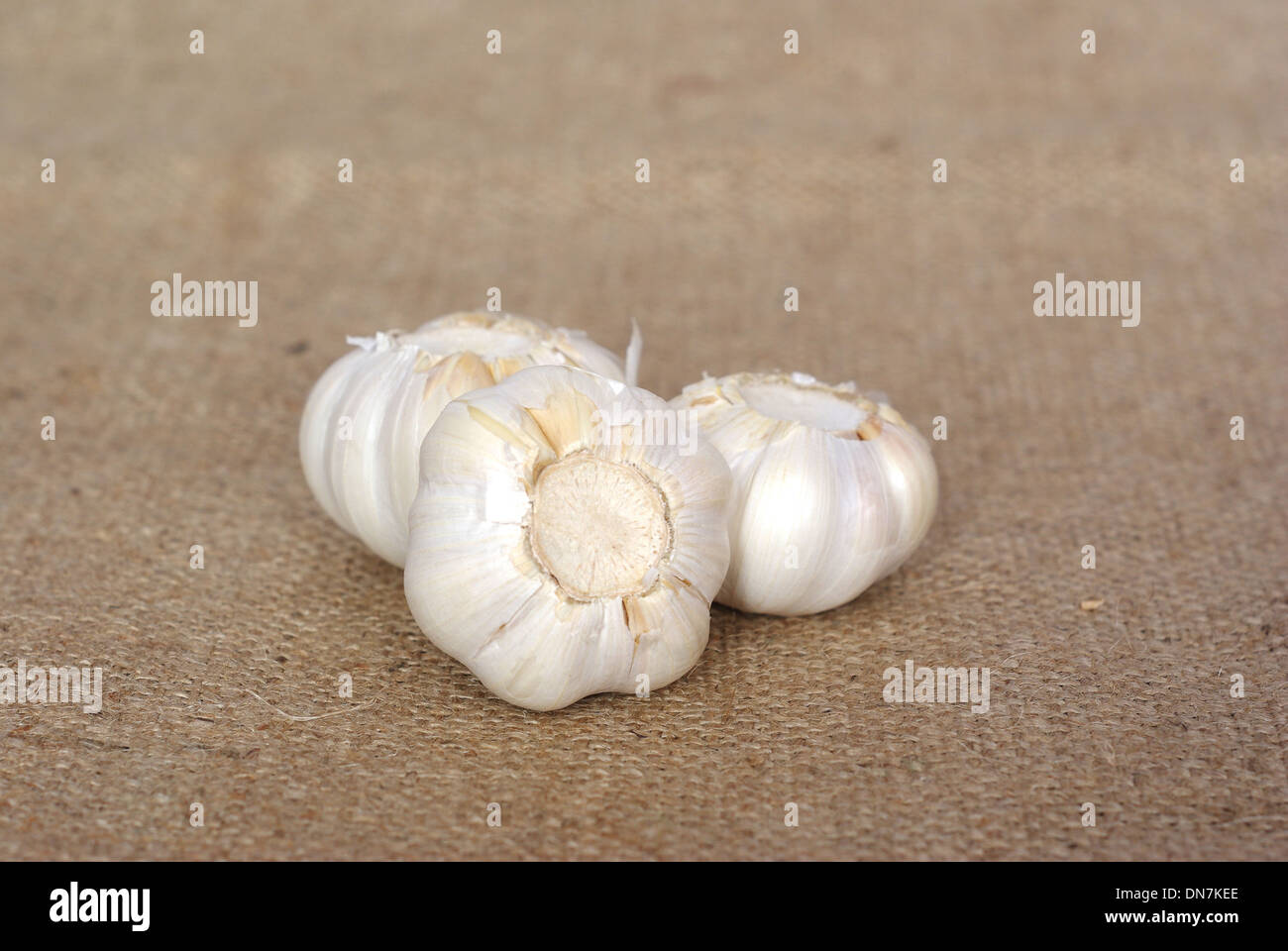 garlic on background of jute Stock Photo