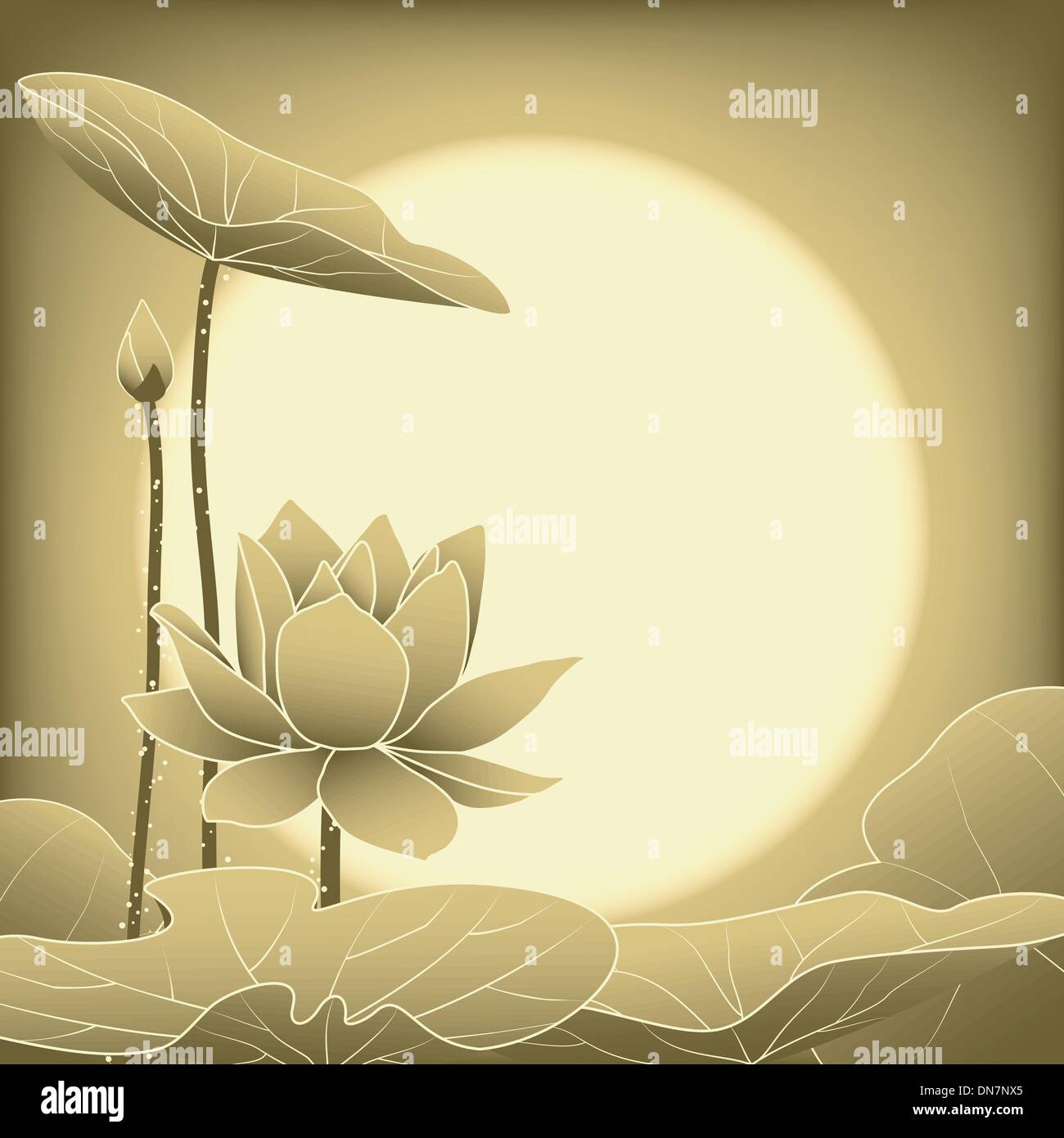 Lotus flower wallpaper hi-res stock photography and images - Alamy
