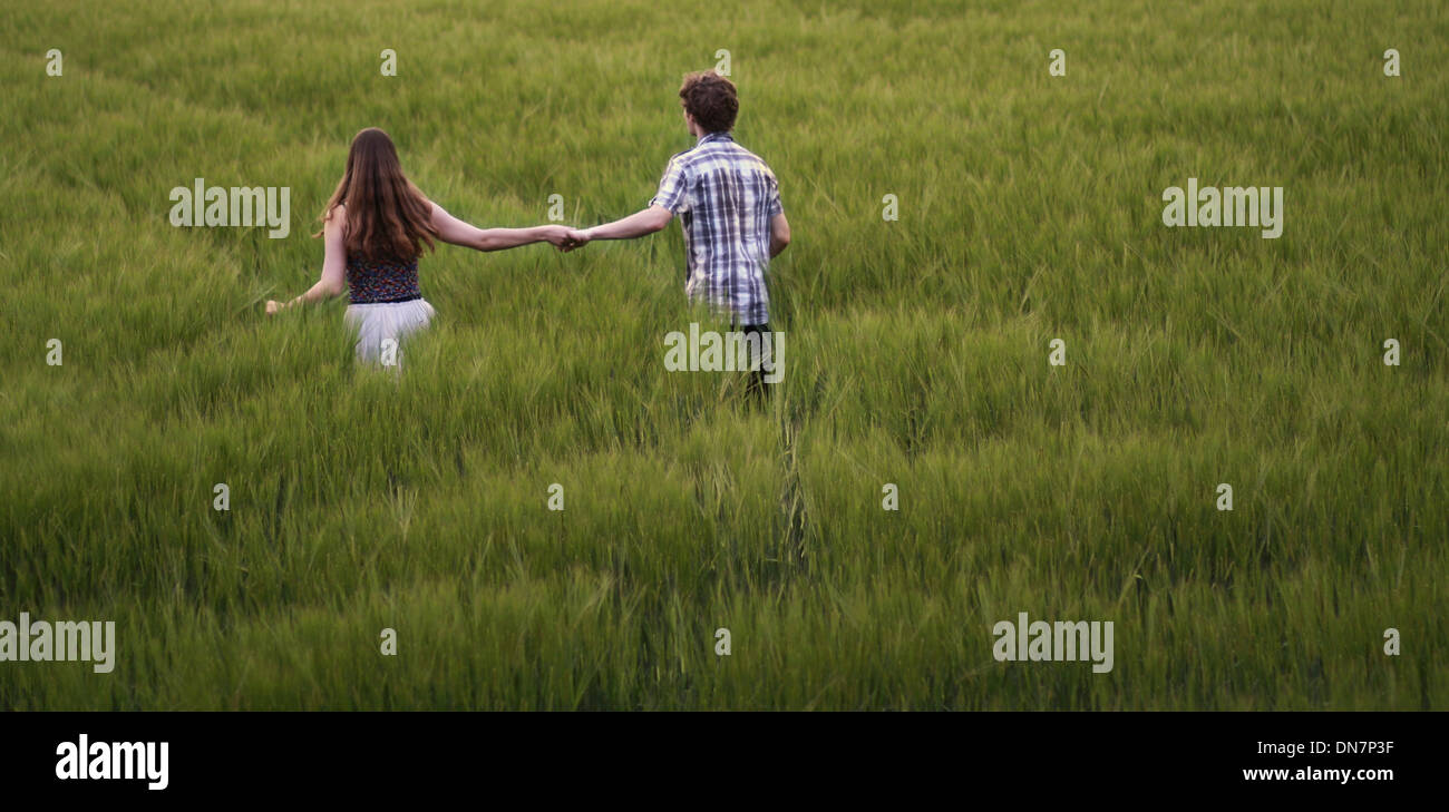 Young couple walks hand in hand through cornfield Stock Photo