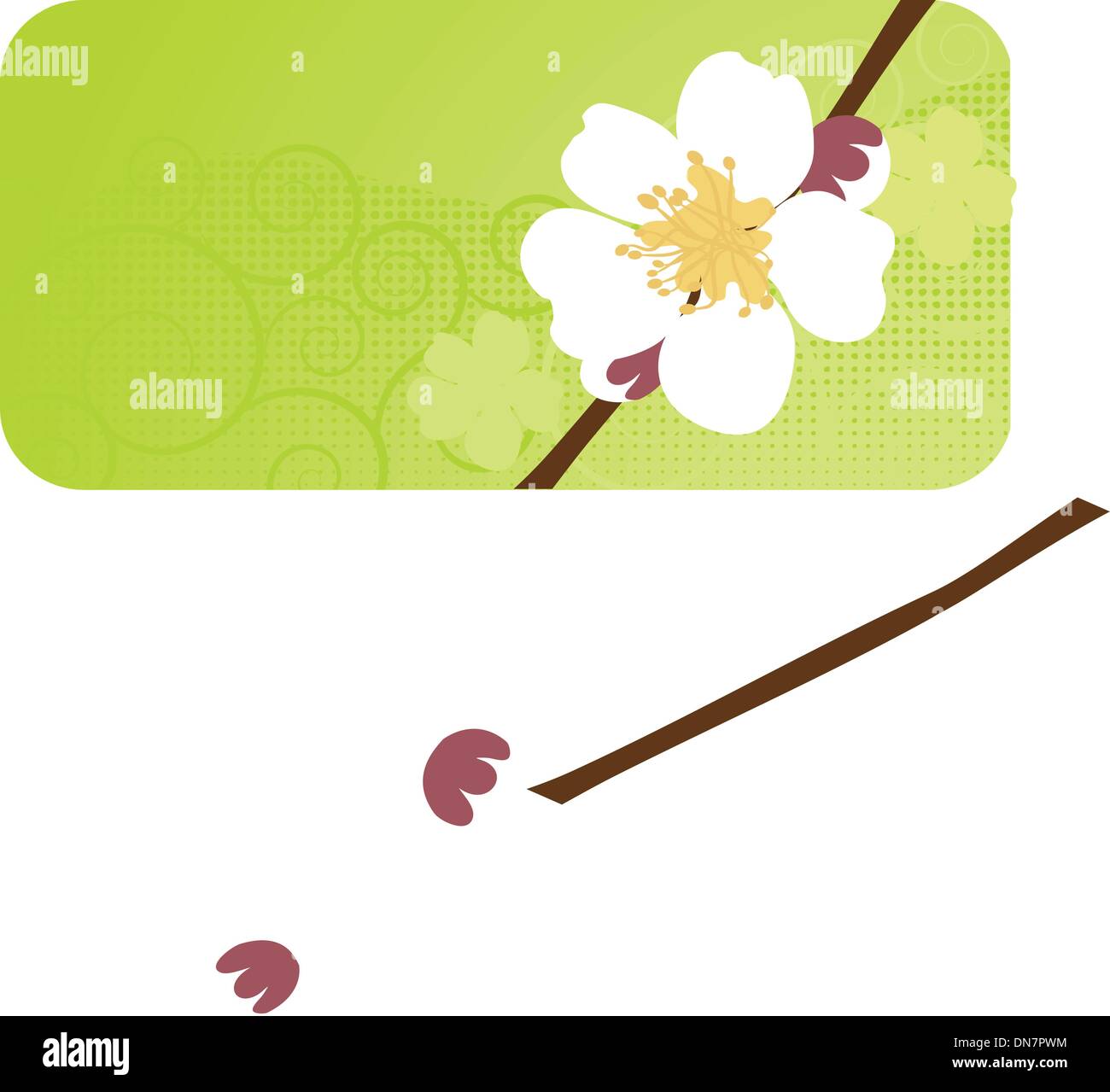 Cherry blossom ,sakura flower. Stock Vector