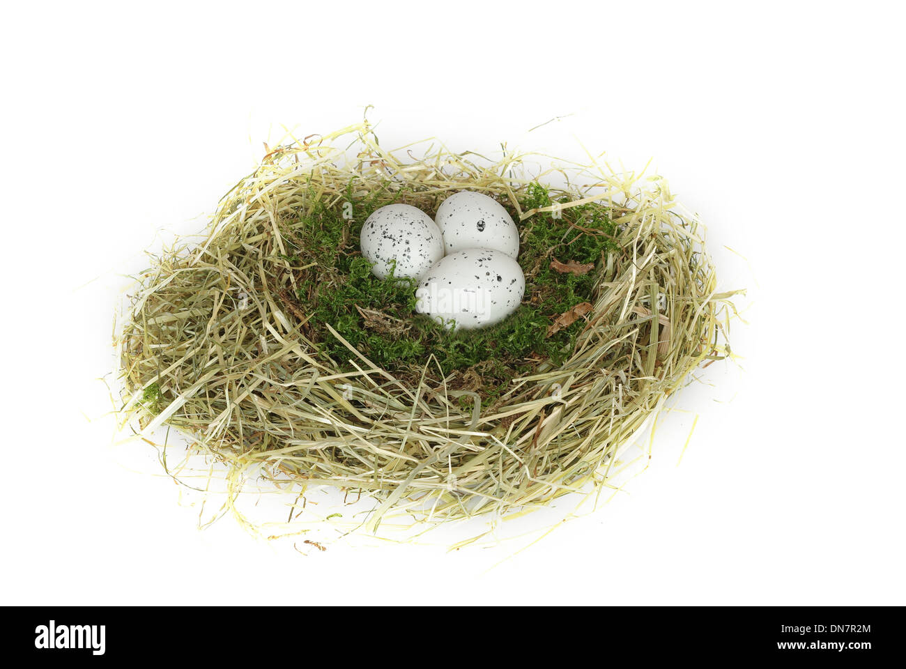 nest with egg on white background Stock Photo