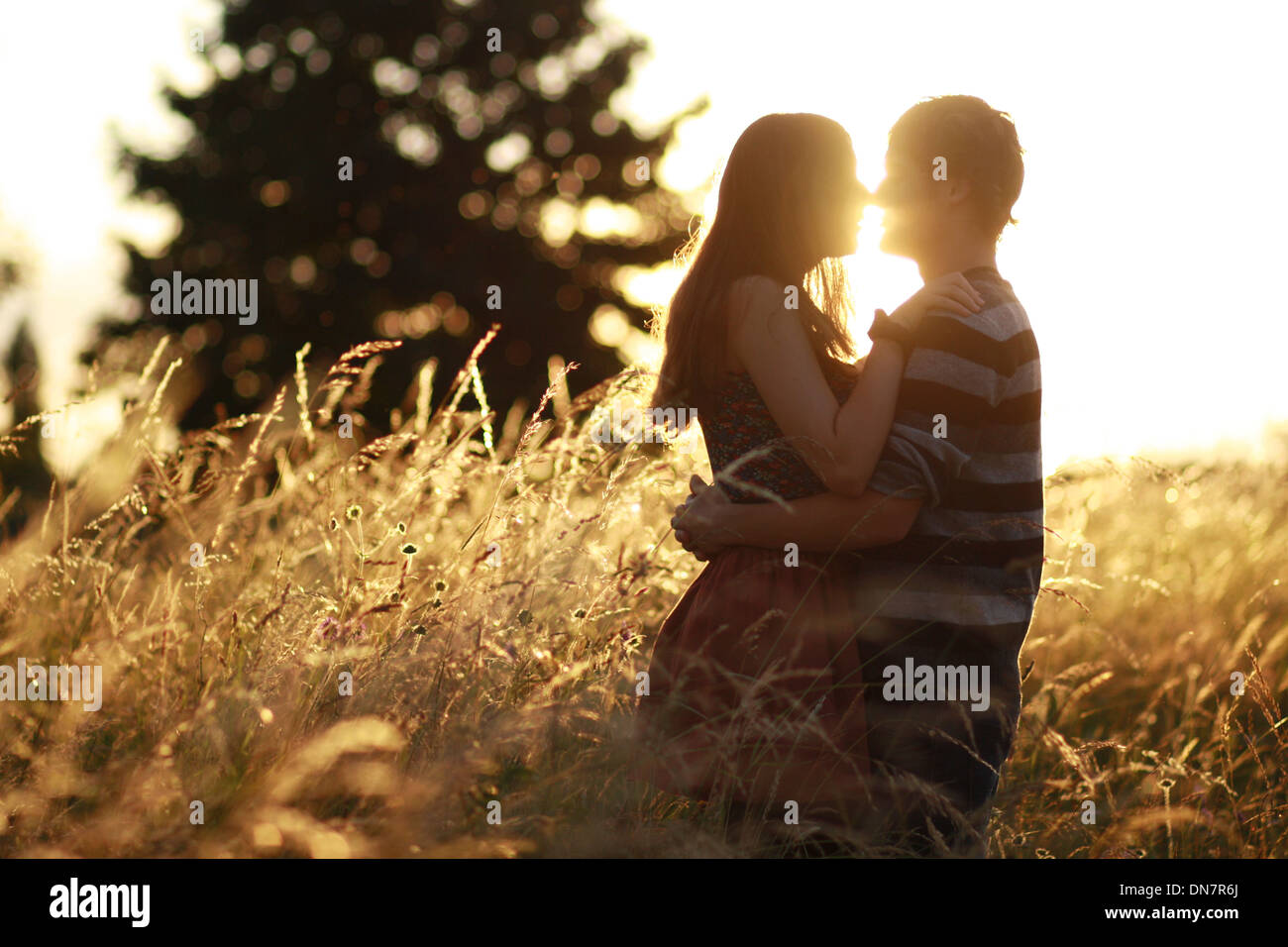 Young couple in love in the cornfield, kissing in backlight Stock Photo