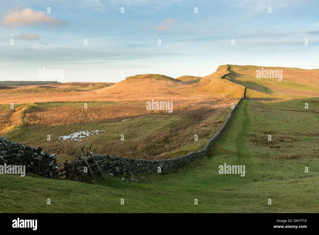 Looking east along Hadrian's Wall towards Sewingshields Crag one of the dramatic landscapes in Northumberland National Park Stock Photo