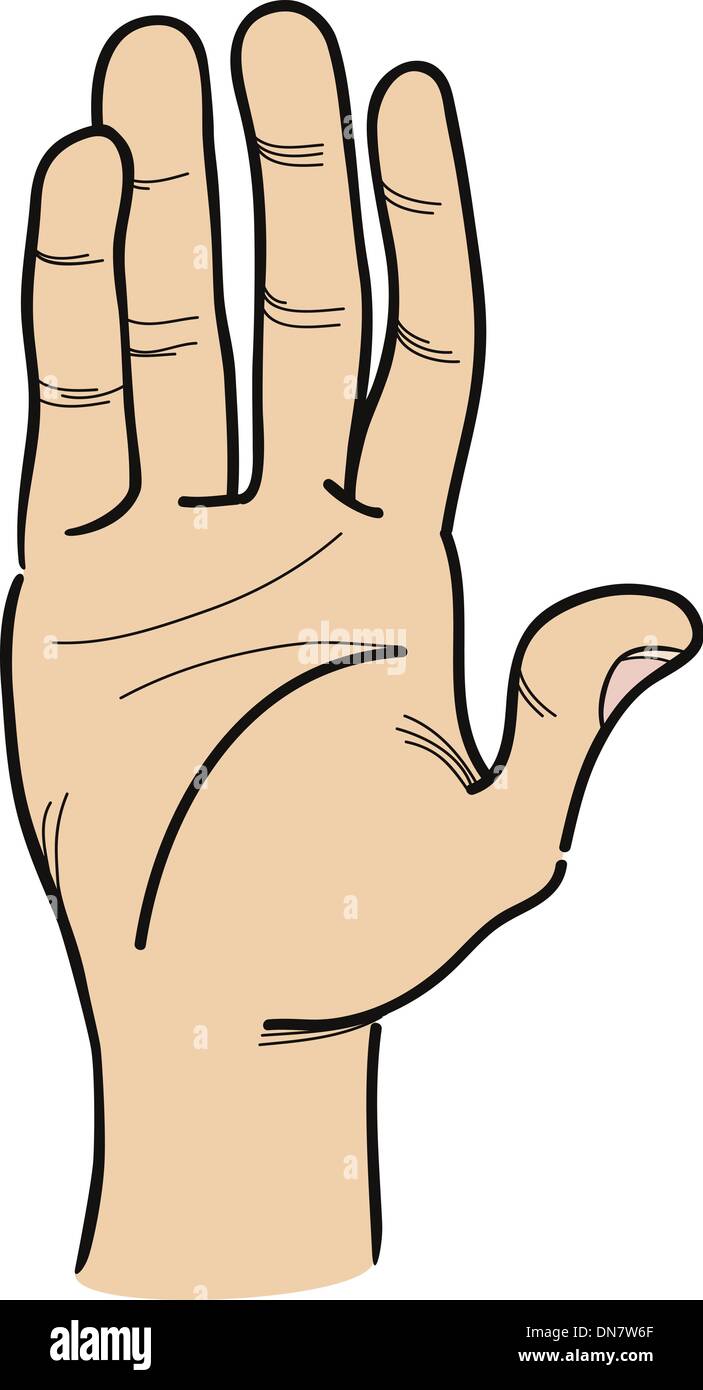 hand clip art cartoon illustration Stock Vector Image Art Alamy