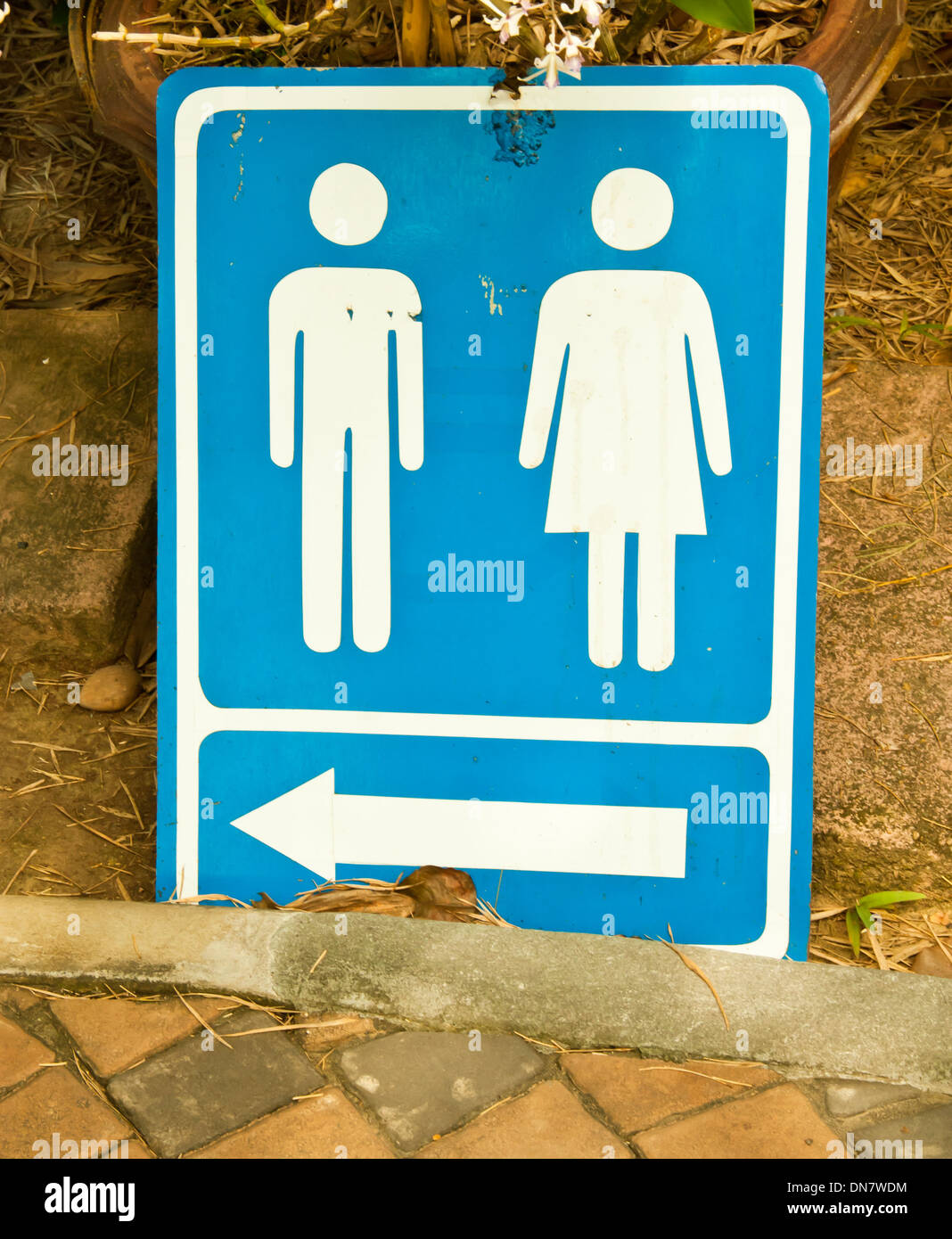 Male and female toilets sign. Placed on the ground near the tree. Stock Photo