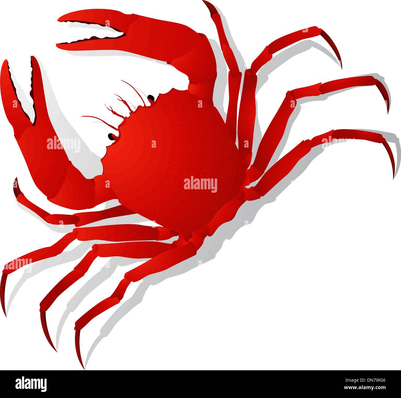 Crab fish Stock Vector Images Alamy