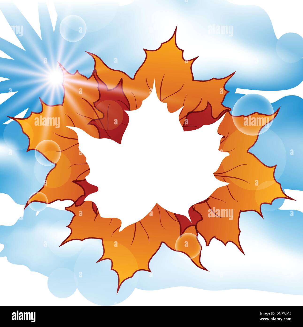 Autumn leaves maple with copy space Stock Vector Image & Art - Alamy