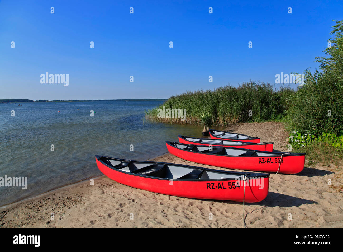 Canoes at Goehren beach, Fleesensee, Mecklenburg Lakes, Mecklenburg Western Pomerania, Germany, Europe Stock Photo