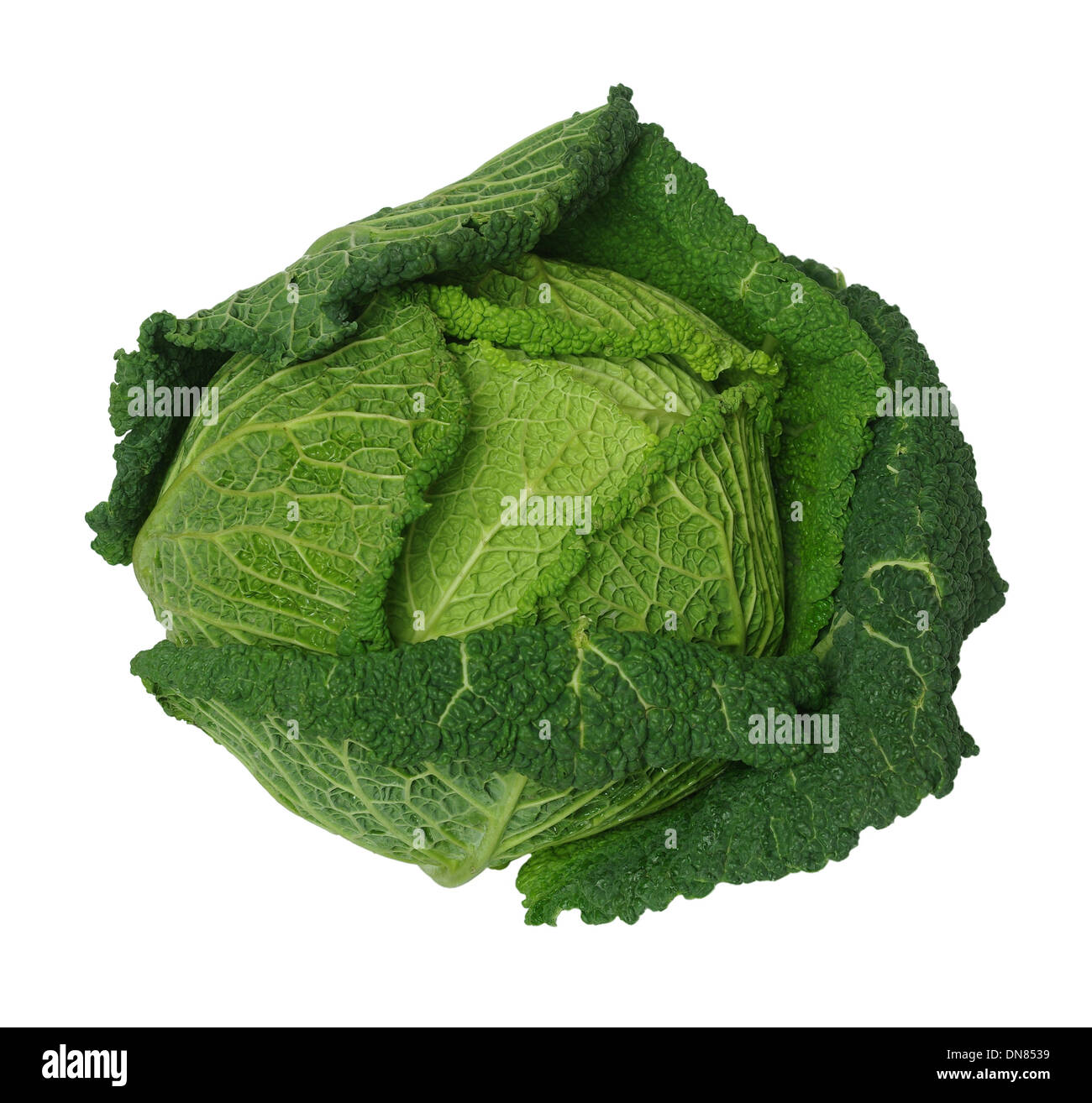 green cabbage on white background Stock Photo