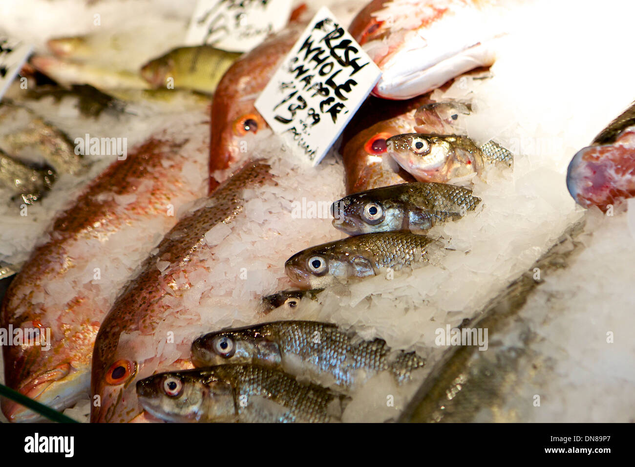 Fresh fish for sale at Grand Rapids Downtown Market Stock Photo Alamy