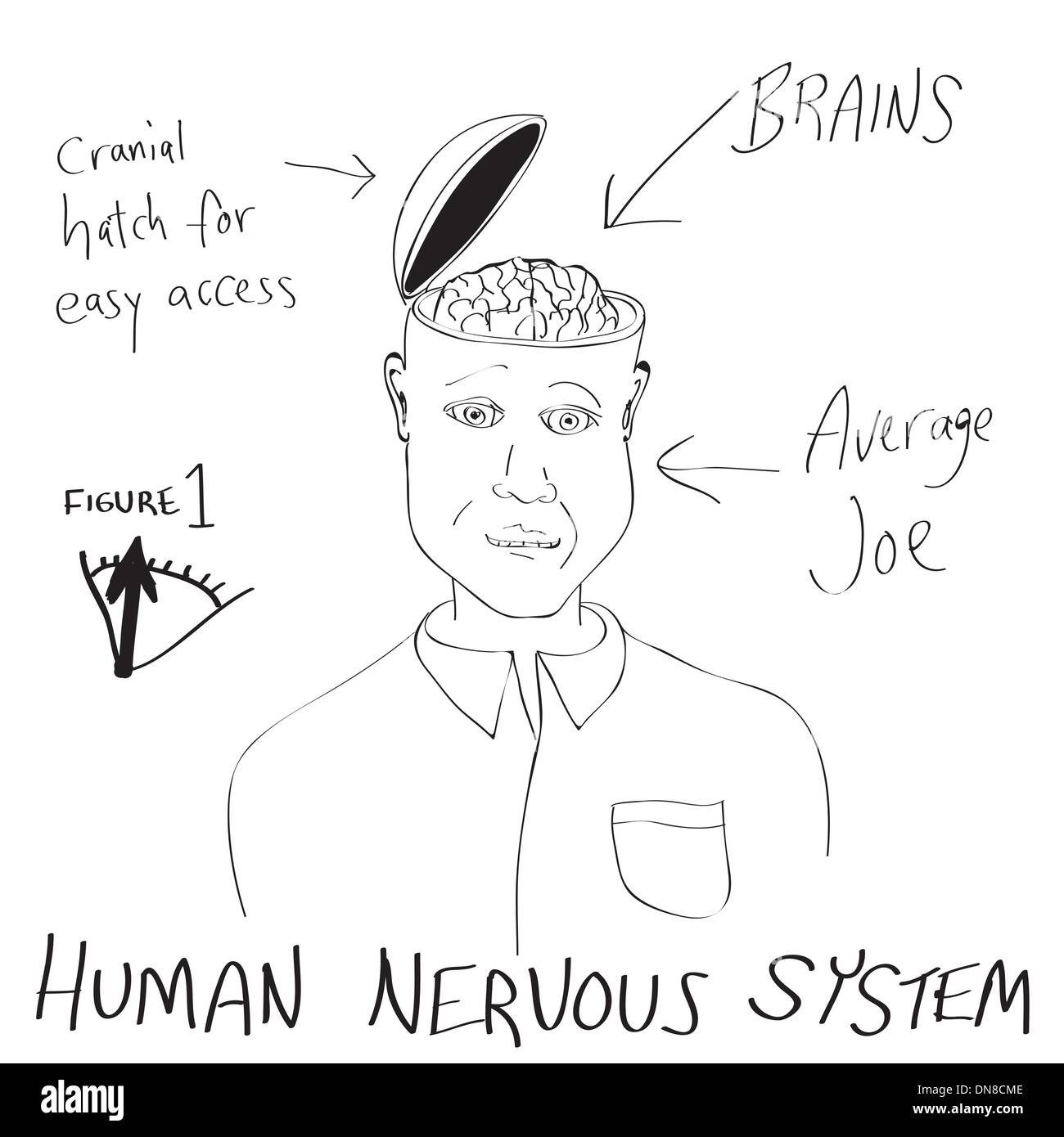 Funny Human Brain Cartoon Stock Vector Image & Art - Alamy