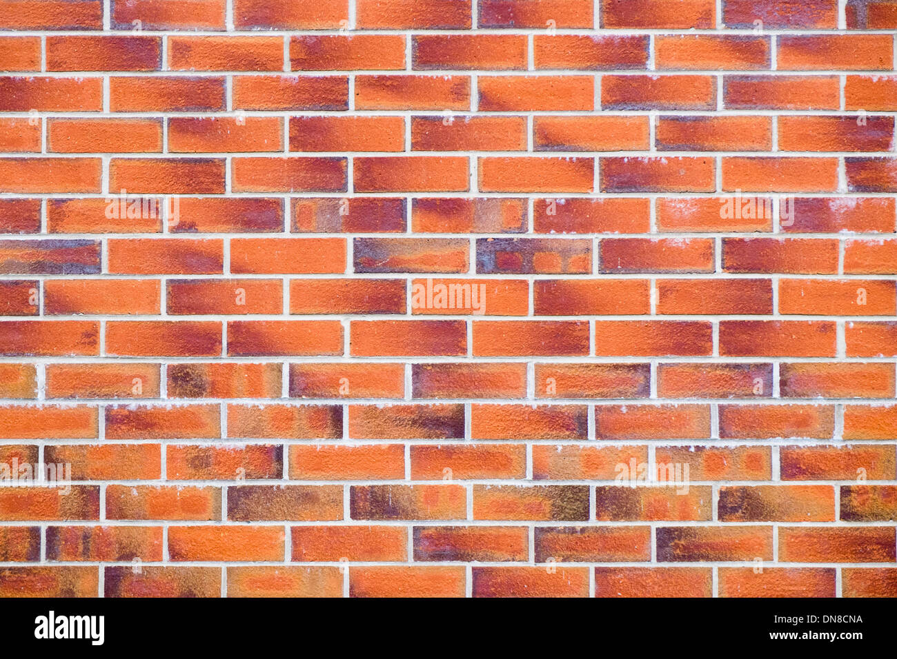Plain flat red brick wall made of red bricks and mortar in straight lines. England UK Britain Stock Photo