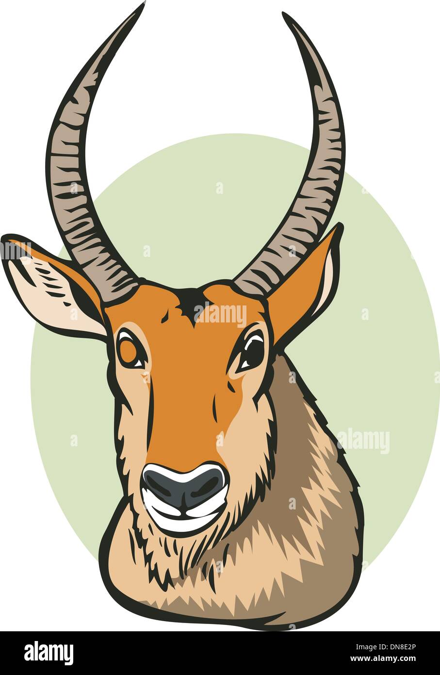 Waterbuck Stock Vector Images - Alamy
