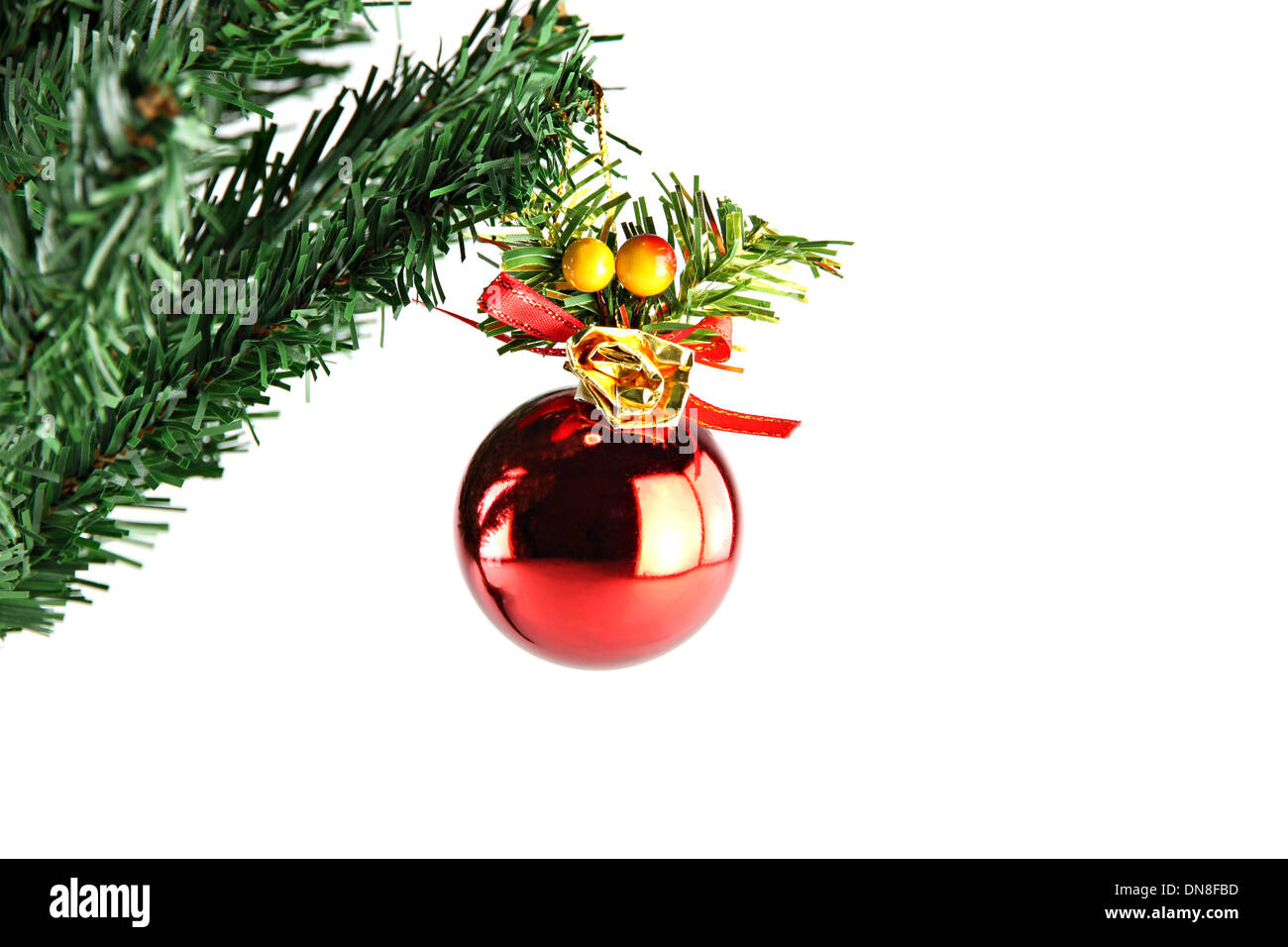 The Picture Red ball hanging on branch of Christmas tree Stock Photo ...